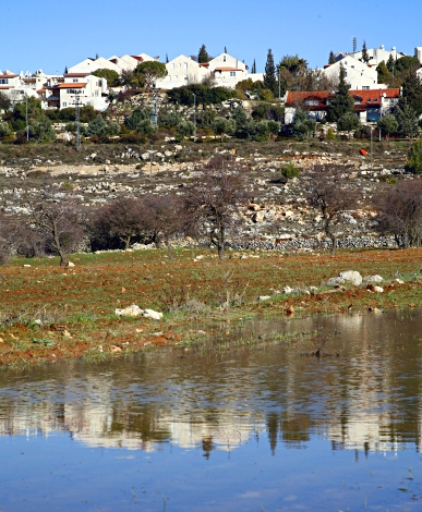 My Home Town, Efrat - Rimon from the Western Vineyards