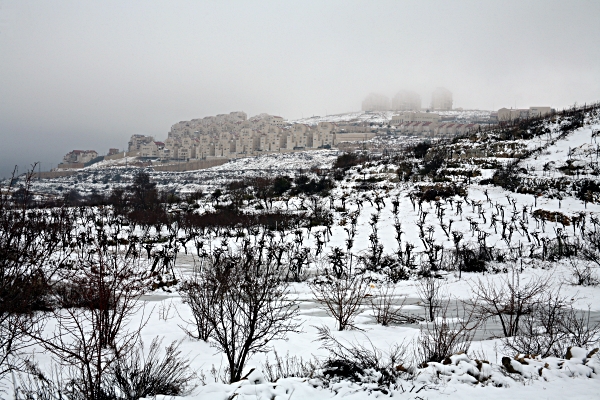 My Home Town, Efrat - Zayit from Wadi haPirim
