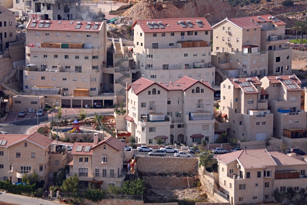 My Home Town, Efrat - Zayit during Sukkot