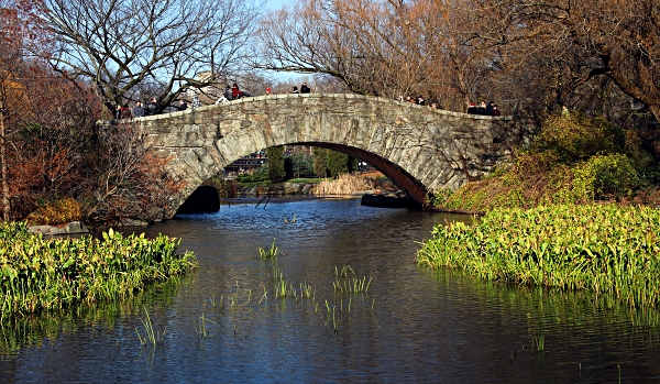 New York City - Bridge in Central Park