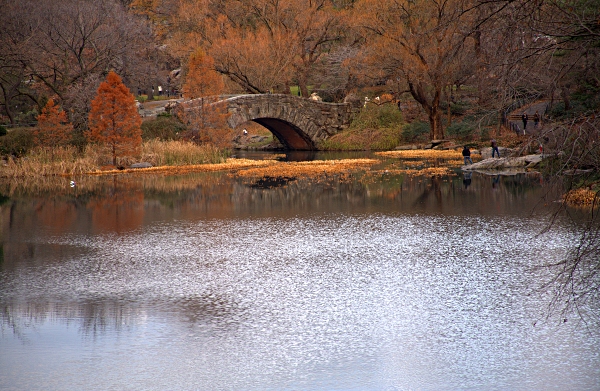 Another week in New York City - Central Park Bridge