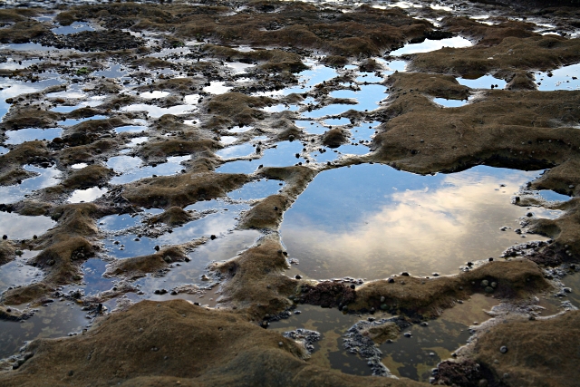 Reflections - Bondi Beach, Ausralia