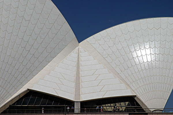 Sails on Sydney Harbour - The Sydney Opera House