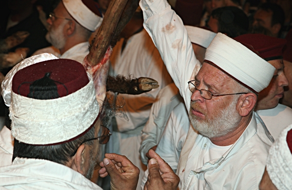 Samaritan, Shomronim, Passover Sacrifice -- Zevach - Participants