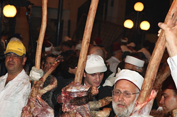 Samaritan, Shomronim, Passover Sacrifice -- Zevach - Ready to cook in the pit