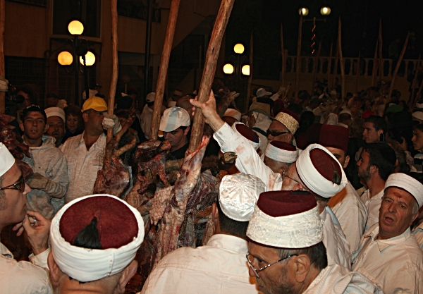 Samaritan, Shomronim, Passover Sacrifice -- Zevach - Ready to cook in the pit