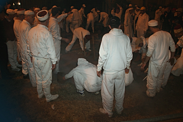 Samaritan, Shomronim, Passover Sacrifice -- Zevach - Covering the cooking pit
