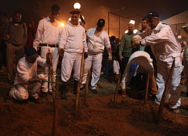 Samaritan, Shomronim, Passover Sacrifice -- Zevach - Sawing off the points of the skewers