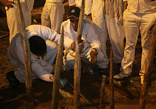 Samaritan, Shomronim, Passover Sacrifice -- Zevach - Sawing off the points of the skewers