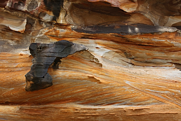 Sydney's Coast surrounded by Water - Rocks at Tamarama