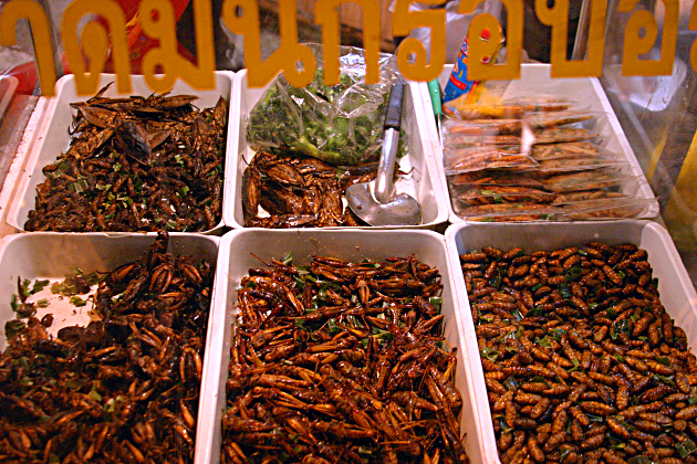 Eating Out in Thailand - 