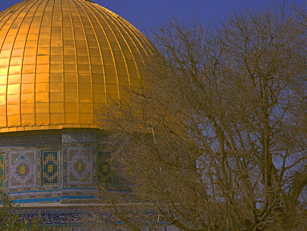 Yerushalayim - Jerusalem, the Kotel and the Temple Mount -- Har haBayit - Omar and Tree