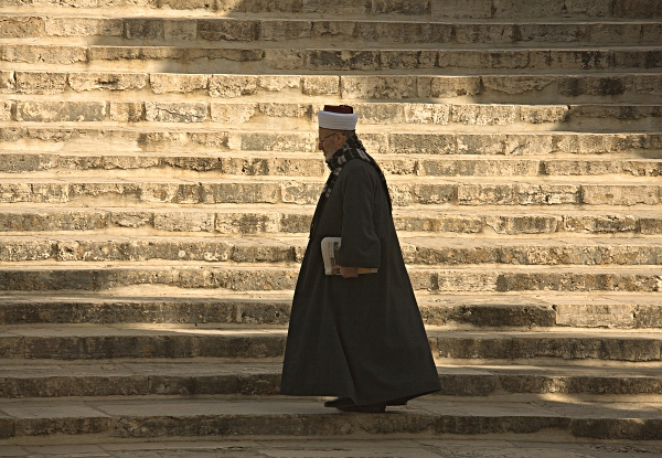 Yerushalayim - Jerusalem, the Kotel and the Temple Mount -- Har haBayit - Paperboy on the Omar Western Steps